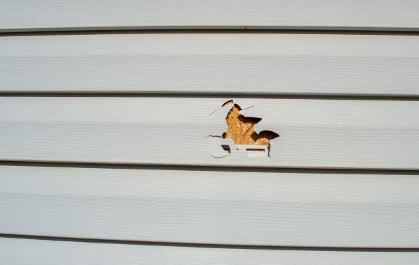 Siding Hole Repair in West Chester